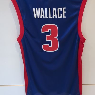 Reebok Detroit Pistons Ben Wallace #3 Replica Jersey