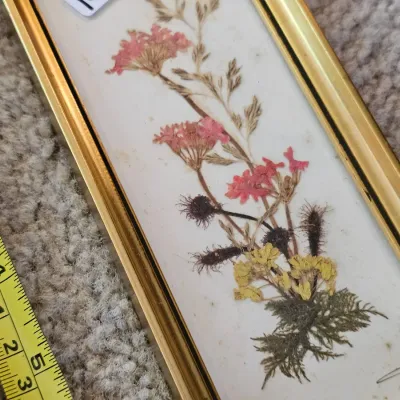 Sale Photo Thumbnail #1026
