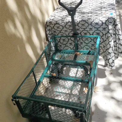Rolling Cart and Folding Table 