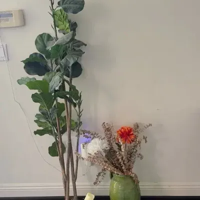 Zen Room Decor and Accessories
