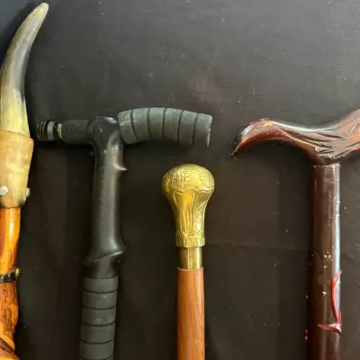 Walking Canes 