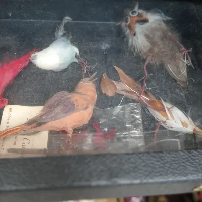 Sale Photo Thumbnail #109