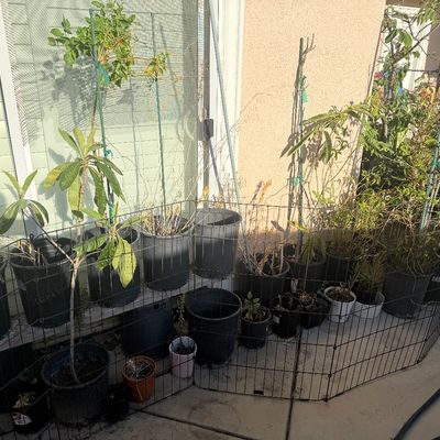 Sale Photo Thumbnail #136