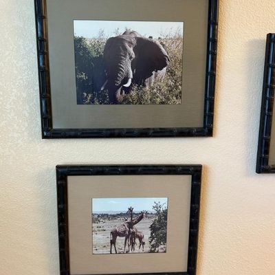 Sale Photo Thumbnail #192