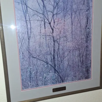 Sale Photo Thumbnail #117