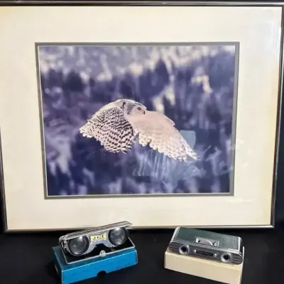 Folding Sports Lens And Owl Picture