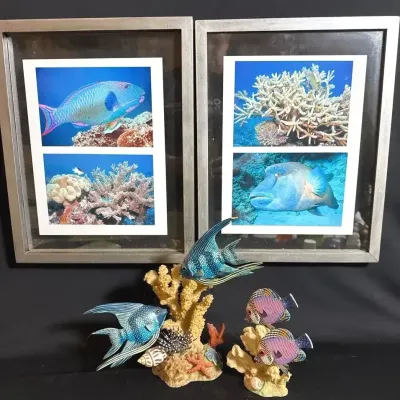Underwater Wonders, Photography, Sculptures