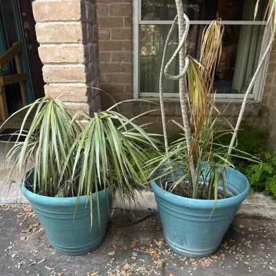 Teal Planters (2)
