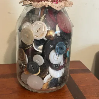 Vintage Button Collection