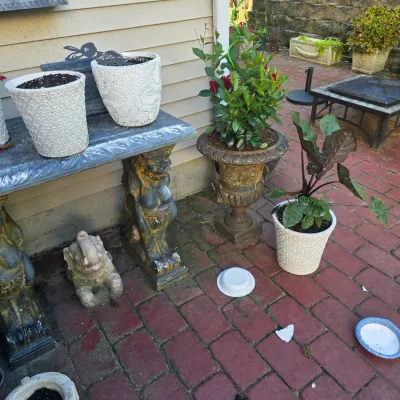 Sale Photo Thumbnail #66