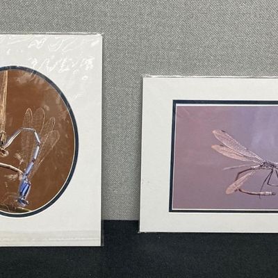 Sale Photo Thumbnail #91: Dragonfly art 