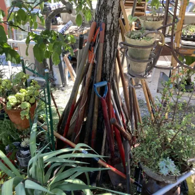 Sale Photo Thumbnail #35