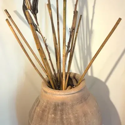 Large Terracotta Style Olive Jar 