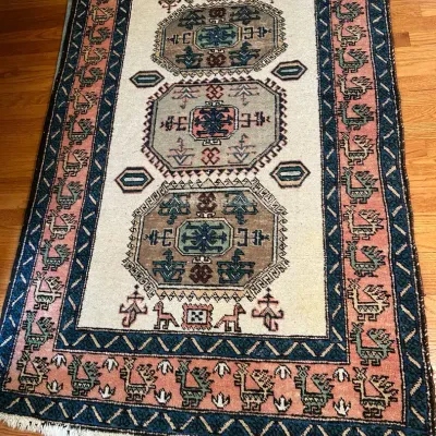 Iranian Hand Woven Wool Rug