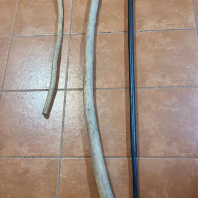 3 Walking Sticks/poles