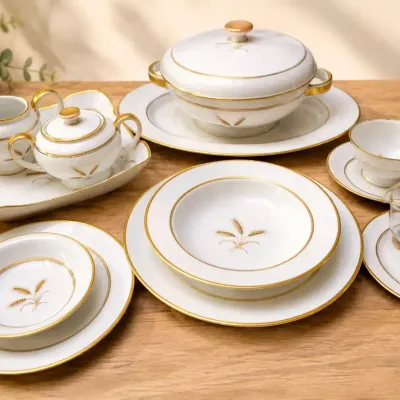 CHINA DISHWARE SET BY ROSENTHAL