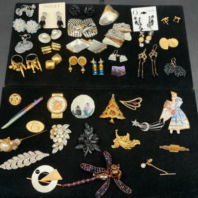 Costume Earrings & Brooches