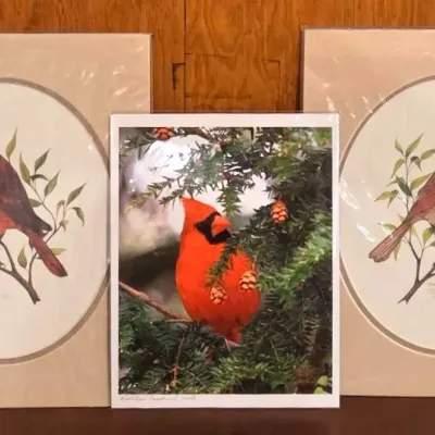 (3) Cardinal Unframed Pieces