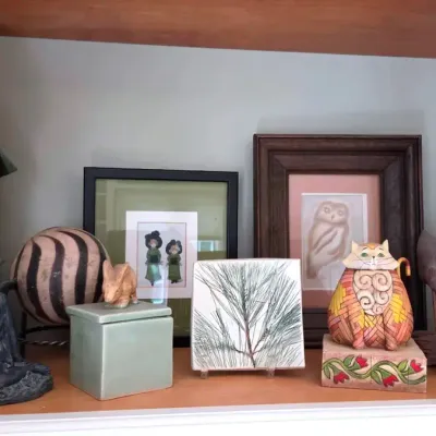 A Shelf of Interesting Items