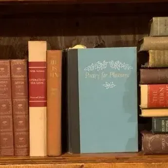 Vintage Book Collection 2