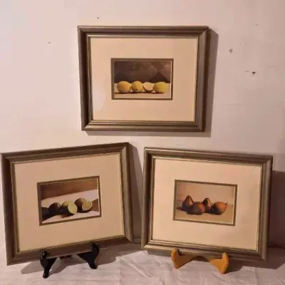 (3) Framed Fruit Prints
