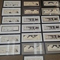 Sale Photo Thumbnail #833