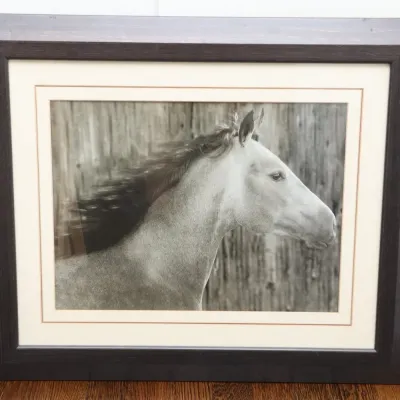 Sale Photo Thumbnail #23