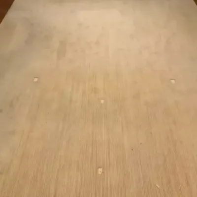 Light Beige Area Rug (10’ 3” W X 14’ 2” L)