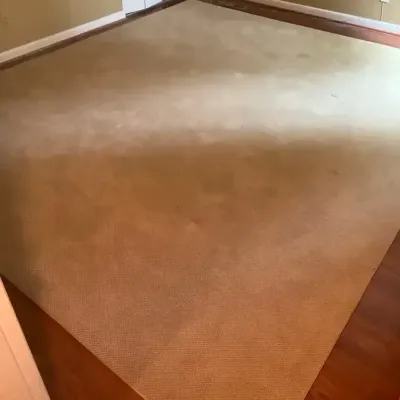 Tan Colored Rug (11’ X 9’ 7”)