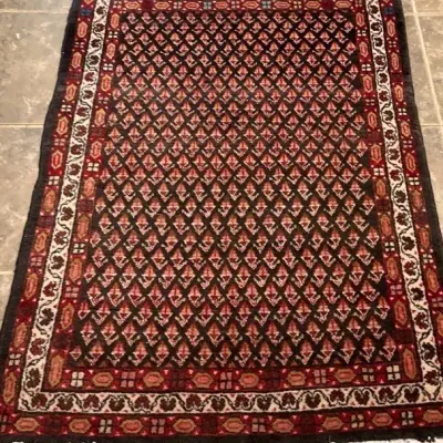 Persian Woven Wool Thin Rug