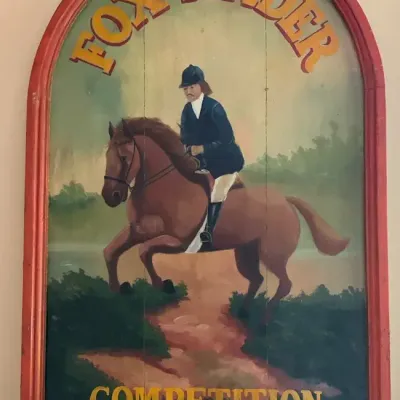 Fox Finder Competition