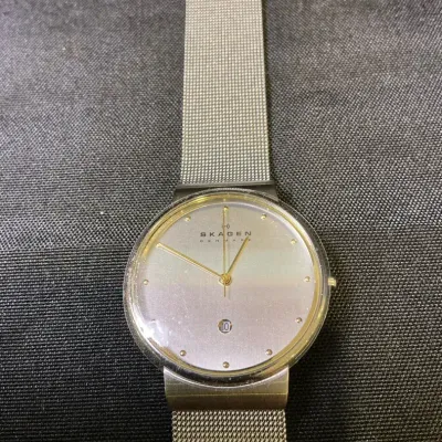 Skagen Mesh Silver Mesh Watch 355LGSC New 