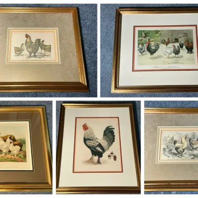 Rooster Print Collection - 5 Prints (Largest 15.5 x 19)