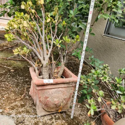 Sale Photo Thumbnail #144