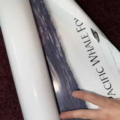 O20 - Globe, Poster, Wall Art