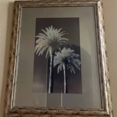 Framed Palm Tree Print 