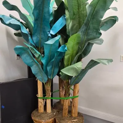 3 Artifical Banana Trees