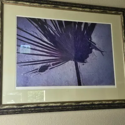 Fossil Palm Frond With Fish Print