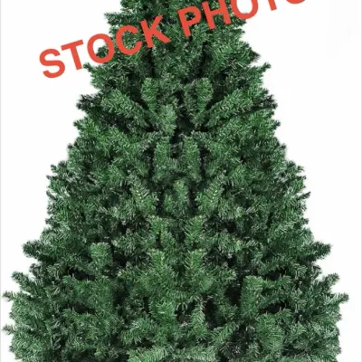 Sale Photo Thumbnail #240