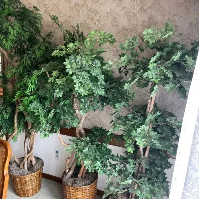 Three Faux Plant Trees