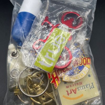 Sale Photo Thumbnail #252: Key chains