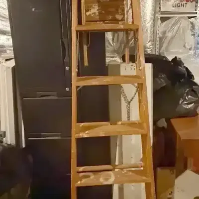 Warner Wooden Ladder