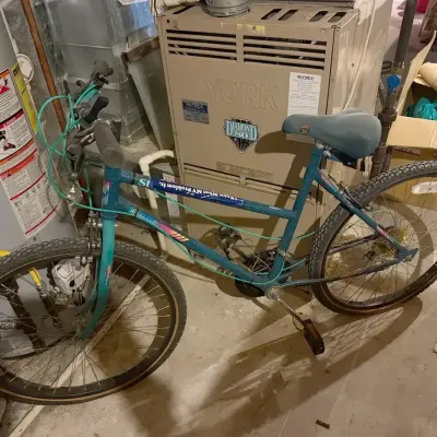 Roadmaster Bike