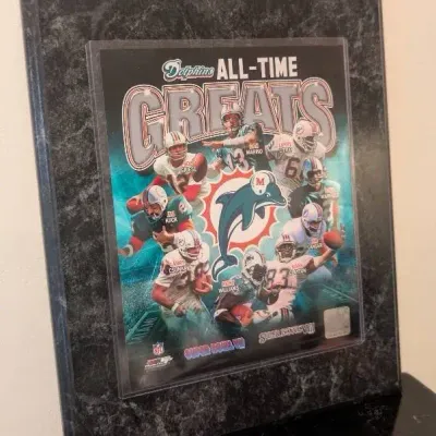 Miami Dolphins "All-Time Greats" Framed Photo Collage produced by Photo File Inc