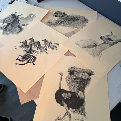 Sale Gallery Photo Thumbnail