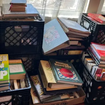 Variety Of Books