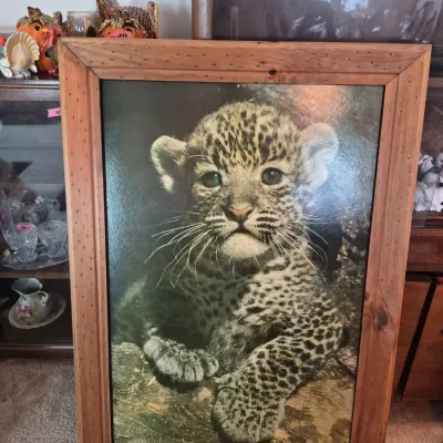 Sale Photo Thumbnail #144