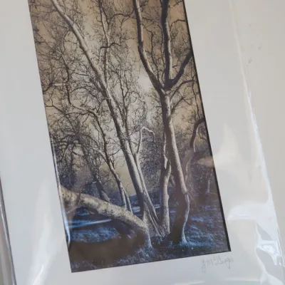 Sale Photo Thumbnail #285