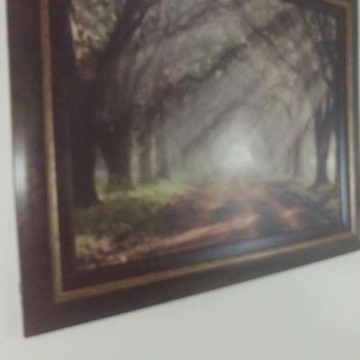Sale Photo Thumbnail #41