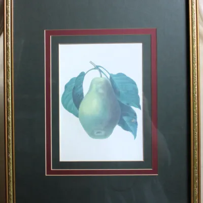 Green Pear Art Print Framed
$25.00
21.5in. x 17.5in.